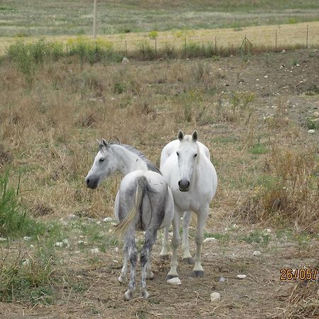 Agriturismo Reggia Saracena Agrigento Eksteriør bilde